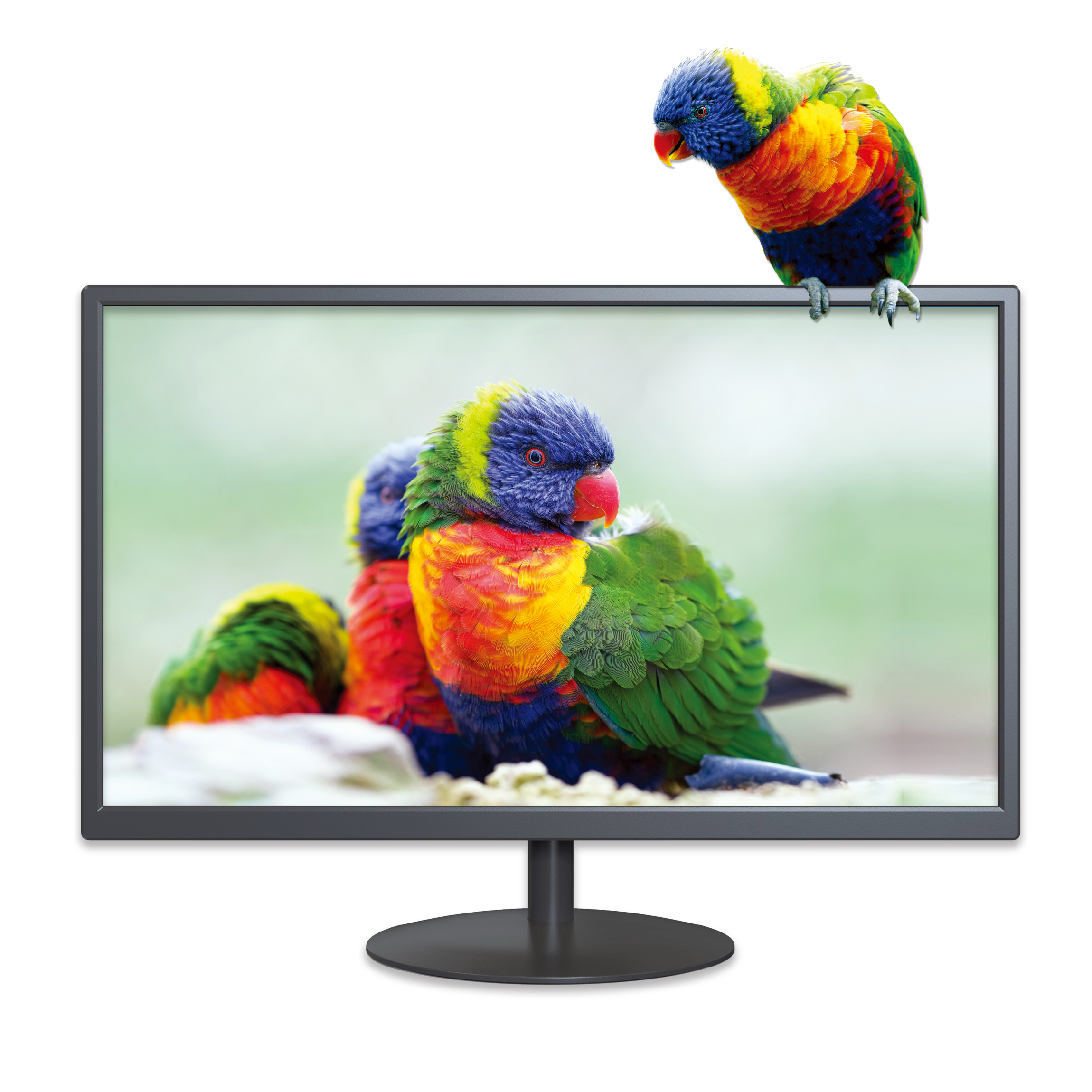 X-MICRO Monitor LED 20" borde fino de X20KN